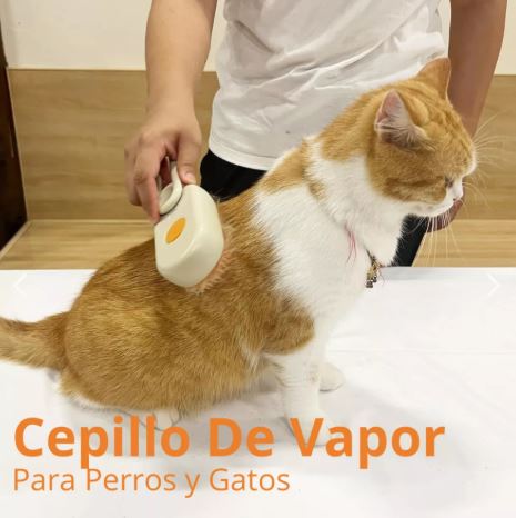 Cepillo Para Mascotas A Vapor Recargable