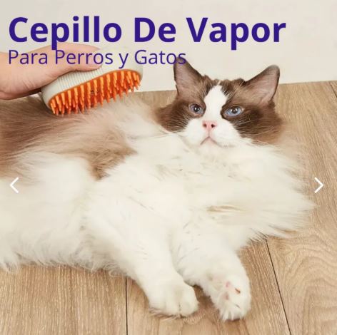 Cepillo Para Mascotas A Vapor Recargable